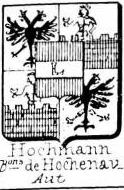 Hochmann Coat of Arms / Family Crest 2