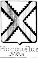 Hocquelus Coat of Arms / Family Crest 0