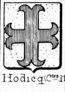 Hodicq Coat of Arms / Family Crest 0