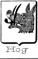 Hog Coat of Arms / Family Crest 4
