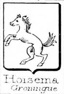 Hoisema Coat of Arms / Family Crest 0