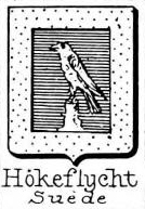 Hokeflycht Coat of Arms / Family Crest 0