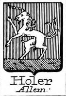Holer Coat of Arms / Family Crest 0