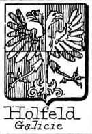 Holfeld Coat of Arms / Family Crest 0