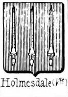 Holmesdale Coat of Arms / Family Crest 0