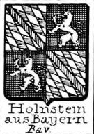 Holnstein Coat of Arms / Family Crest 0