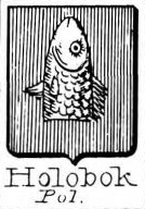 Holobok Coat of Arms / Family Crest 0