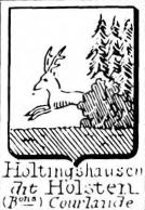 Holstinghausen Coat of Arms / Family Crest 0