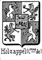 Holzappel Coat of Arms / Family Crest 6