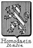 Homodaels Coat of Arms / Family Crest 0