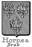 Hornes Coat of Arms / Family Crest 3