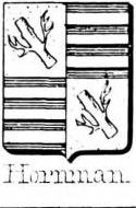 Hornman Coat of Arms / Family Crest 0