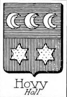 Hovy Coat of Arms / Family Crest 0