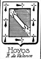 Hoyos Coat of Arms / Family Crest 2