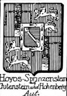 Hoyos Coat of Arms / Family Crest 3