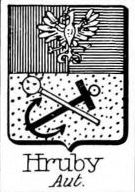 Hruby Coat of Arms / Family Crest 0