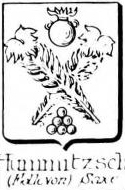 Hummitzsch Coat of Arms / Family Crest 0