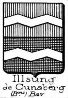 Illsung Coat of Arms / Family Crest 0