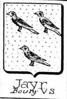 Jayr Coat of Arms / Family Crest 0