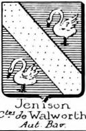 jenison Coat of Arms / Family Crest 5