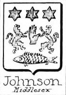 Johnson Coat of Arms / Family Crest 10