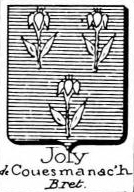 Joly Coat of Arms / Family Crest 13