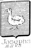 Josephs Coat of Arms / Family Crest 0