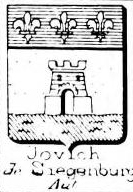 Joviche Coat of Arms / Family Crest 0
