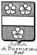 Jubin Coat of Arms / Family Crest 0