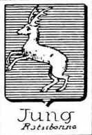 Jung Coat of Arms / Family Crest 8