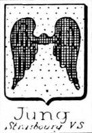 Jung Coat of Arms / Family Crest 13