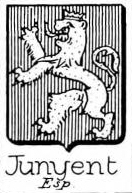 Junyent Coat of Arms / Family Crest 0