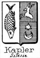 Kapler Coat of Arms / Family Crest 0