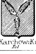 Karchowski Coat of Arms / Family Crest 1
