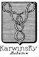 Karwinsky Coat of Arms / Family Crest 0