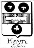 Kayn Coat of Arms / Family Crest 3