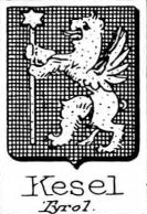 Kesel Coat of Arms / Family Crest 0