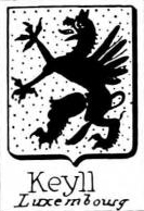 Keyll Coat of Arms / Family Crest 0