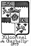 Kilconnel Coat of Arms / Family Crest 0