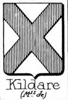 Kildare Coat of Arms / Family Crest 0