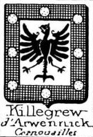 Killegrew Coat of Arms / Family Crest 4