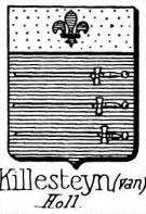 Killesteyn Coat of Arms / Family Crest 0