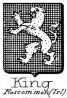 King Coat of Arms / Family Crest 3