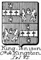 King Coat of Arms / Family Crest 8