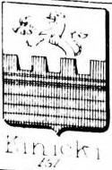 Kinicki Coat of Arms / Family Crest 0