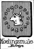 Kioelingsmule Coat of Arms / Family Crest 0