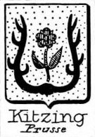 Kitzing Coat of Arms / Family Crest 0