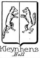 Kleynhens Coat of Arms / Family Crest 0