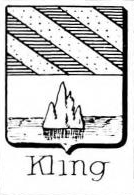 Kling Coat of Arms / Family Crest 2