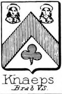 Knaeps Coat of Arms / Family Crest 0